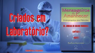 Na Jornada do Criador Primordial (MA - Cap 02) - Parte 01