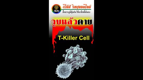 Killer T Cell จุบพิตมรณะ จูบแล้วตาย แบบไม่รู้ตัว