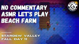 Stardew Valley No Commentary - Family Friendly Lets Play on Nintendo Switch - Fall Day 11