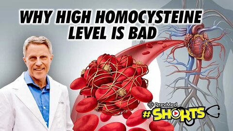 #SHORTS Why High Homocysteine Level is Bad