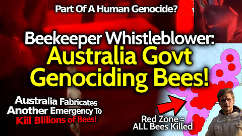Beekeeper Whistleblower Shows Proof Aussie Govt MASS KILLING Bees: "The Govt Doesn't Want Us To Eat"