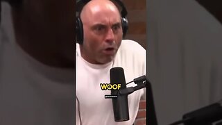 Joe Rogan on the CRAZIEST Pit Bull Attack❗️😬