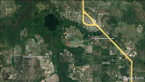 Driver killed after hitting tree off Immokalee Rd.