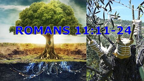 Romans 11:11-24 Israel is the root for the gentiles. Sermon by Wilfred Starrenburg