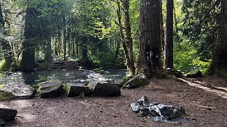 FREE Creekside Dispersed Campsites Near Panther Creek Campground! | Gifford Pinchot Washington | 4K