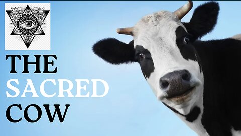 The Sacred Cow and the Dangers of eating Bugs