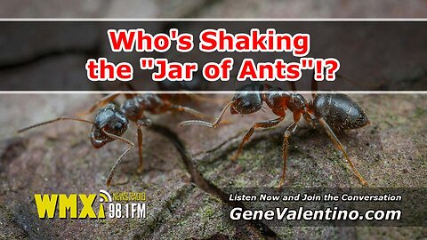 Who's Shaking the "Jar of Ants" !?