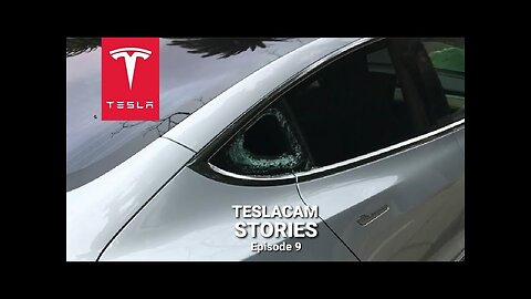 Tesla Sentry Mode theft compilations