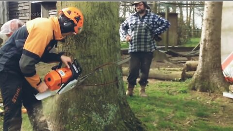 Amazing Fastest Skill Cutting Big Tree ChainSaw Machines