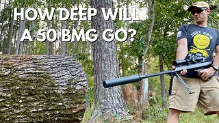 50BMG VS LOG #topshottreeservice