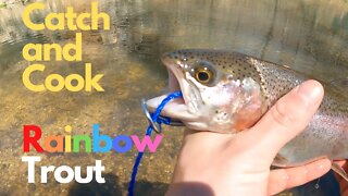 Catch and Cook Trout
