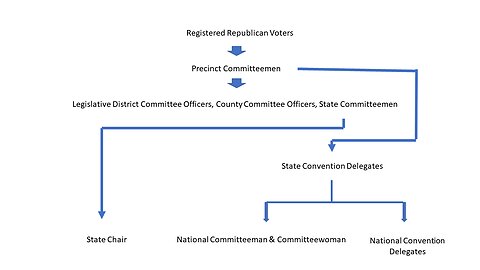 Precinct Strategy Basic American Civics Questions. Dan Schultz May 4 2023