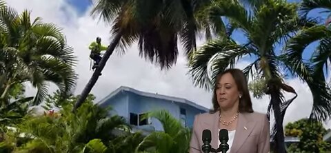 Kamala and the coconut tree