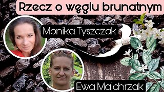 Rzecz o węglu brunatnym - Ewa Majchrzak