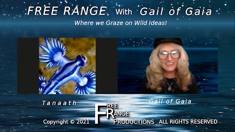 Tanaath of The Silver Legion Talks to Gail of Gaia on FREE RANGE