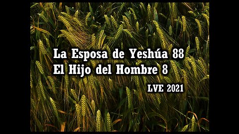 La Esposa de Yeshúa 88 - El Hijo del hombre 8