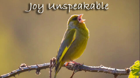 Joy Unspeakable -- Instrumental Worship Chorus