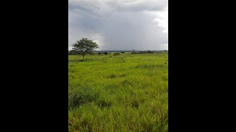 small Brazilian ranch - pequeno rancho brasileiro