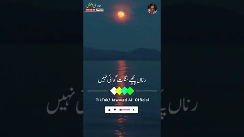 #shorts - Yar Nai Chady Ranan Pichy - Punjabi Shayari Whatsapp Status Poetry Saraiki Shairi Dohray