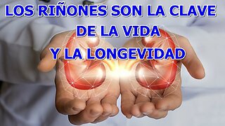 LOS RIÑONES SON LA CLAVE DE LA VIDA Y LA LONGEVIDAD