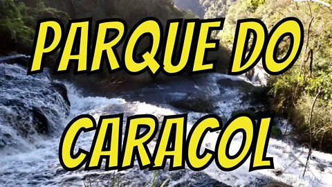 Canela - Parque Estadual do Caracol