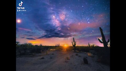 Saguaro Milky Way