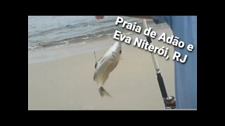 Pescaria na praia de Adão e Eva Niterói,RJ03/05/22(Fishing on the beach of Adão and Eva Niterói, RJ)