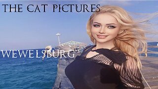 The Cat Pictures (feat. Valeria Lukyanova) - Wewelsburg