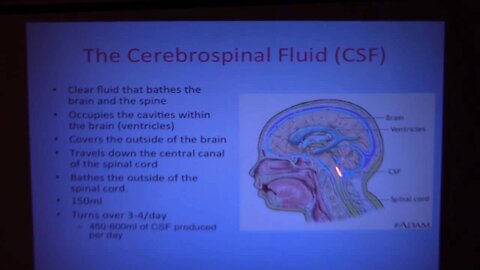 Secrets of Cerebrospinal Fluid (CSF)