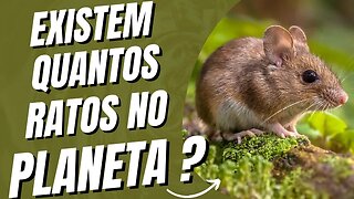 OS MAMÍFEROS COM AS MAIORES DENSIDADES POPULACIONAIS DA TERRA - DESCUBRA OS ANIMAIS MAIS DOMINANTES!