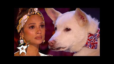 Judges Cry Over Emotional Dog Magic Act on Britain's