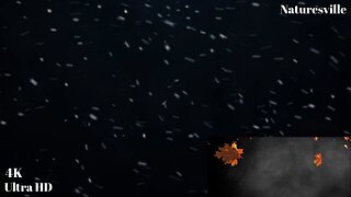 Autumn Snowflakes And Dark Screen for Sleeping, Relaxation And Peaceful Ambience. Autumn Snowfall.