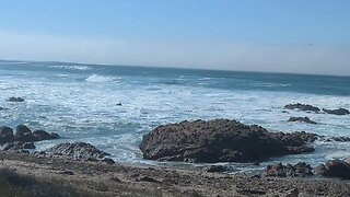 Asilomar State Beach