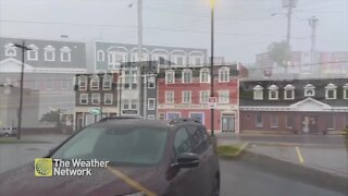Rain continues into the daylight in a soggy St. John's