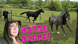 So Much New Horse Drama!