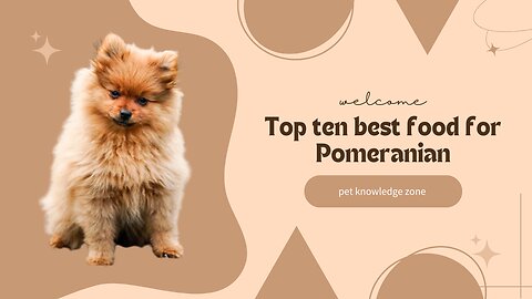 Top 10 best foods for Pomeranian | Pomeranian food diet | Dog food | food for Pomeranian