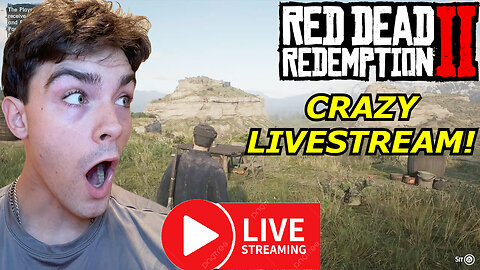 Crazy Online Red Dead Redemption 2 Livestream!