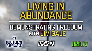Living In Abundace | Ep #5 "Demonstrating Freedom With Jim Gale"