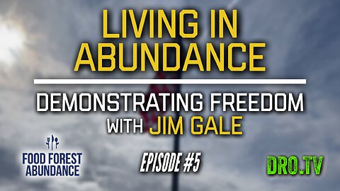 Living In Abundace | Ep #5 "Demonstrating Freedom With Jim Gale"