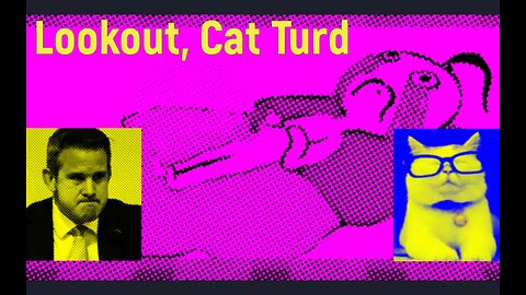 Cat Turd vs Adam Kinzinger - Tucker Carlson