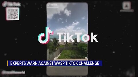 Pest control experts warn against new TikTok challenge. #WaspChallenge - Here’s what it is