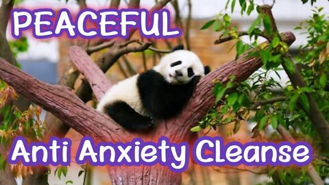 Anti - Anxietyy Cleanse | Peaceful Positive Energy Meditation Music | Relax Mind Body