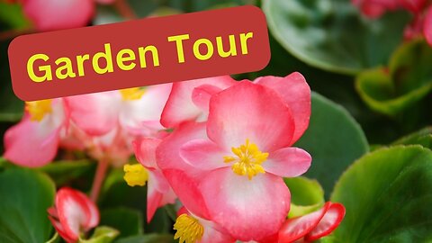 SIGNS OF SPRING GARDEN TOUR - March 2024