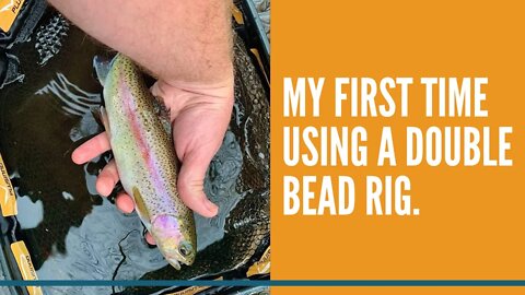 My First Time Using A Double Bead Rig / Trout Fishing Videos / Centerpin Float Fishing For Trout