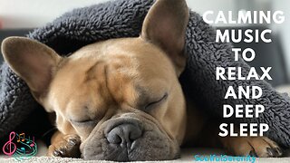 Tranquil Tunes for Dogs & Cats | Calming Music to Relax and Deep Sleep