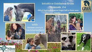 Intuitive Guidance from Animals - #4 - Bill of Rights for Animals & The Mystery of Two Rescue dogs