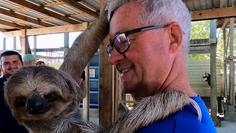 Sanctuary guest has dream close up encounter with sloth