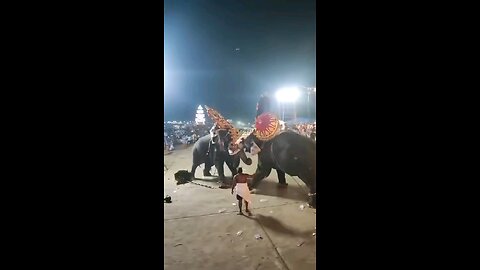 Elephant got mad, attacking another one during festival in kerala India