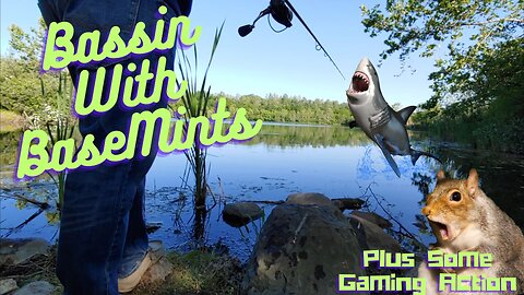 Bassin With BaseMints - Plus Gaming Stream