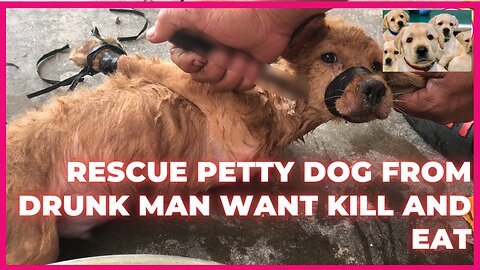 Rescue petty dog from drunk man want kill and eat | Pets Rescue